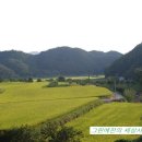 예찬농장 이미지