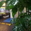 스카이 토탈 휘트니스 센타 이미지