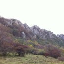 선경목장 이미지