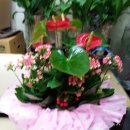 미래비뇨기과의원 이미지