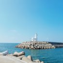 현우목장(2) 이미지