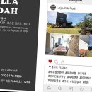 비자노아 이미지