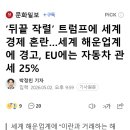 ‘뒤끝 작렬’ 트럼프에 세계 경제 혼란…세계 해운업계에 경고, EU에는 자동차 관세 25% 이미지