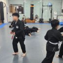 강류합기도 | 동탄 목동 합기도 도장, 성장운동부터 호신술까지! 강류합기도 주짓수 도장 방문기