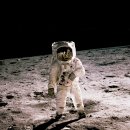 신 달토끼 이미지