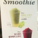 그린티엔씨 이미지