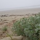 관매마을 이미지