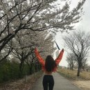 다혜