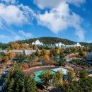 조선대학교 이미지