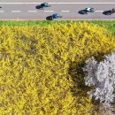 하늘봄사진관 이미지