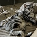 오창가족한의원 이미지