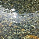 느티고을펜션 이미지