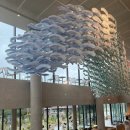 아이와 함께한 여수 스타벅스 - 더 여수 돌산DT점, 해양공원점