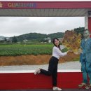 건.갤러리 이미지