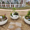 우리가족 정원 만들기 이미지