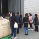 마니산친환경영농조합 이미지