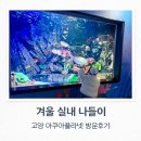 팜이공 | 아쿠아플라넷 고양점 추운날씨 아이랑 가기좋은 서울근교 실내데이트장소