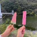신비의물약더미르 | [충북 가볼만한곳] 진천 농다리 | 천년의 신비 농다리, 초평호 미르309 출렁다리