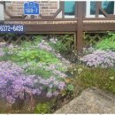 동해황토민박펜션 이미지