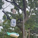 도산서원길(도산면) | 안동 도산서원 | 절제의 미학이 있는 한국전통건축