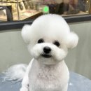 메종VIP203 이미지