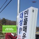 대성민물매운탕 이미지