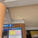 강원도 정선가볼만한곳 비오는날 가기좋은 화암동굴 모노레일필수 솔직후기
