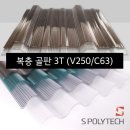 제주캐노픽스