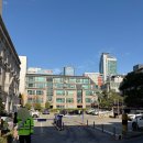 꽃뱅이정원 | 강남역 웨딩홀_세인트 메리엘 웨딩홀 하객 후기(주차, 뷔페, ATM, 세인트홀)