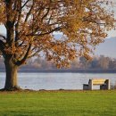 경북1급종합정비 이미지