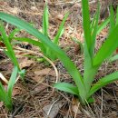 백양산 등산로 이미지