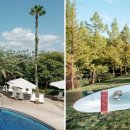 (주)교원스위트호텔 제주 이미지