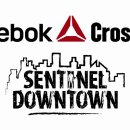 Reebok CrossFit Sentinel 에서 열정있는 크로스핏 & 부트캠프 여성 트레이너를 모집합니다. (마감임박!!!!!!) 이미지