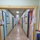 나무와꿈어린이집 이미지