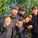 삼남매농장 이미지