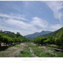 문경새재 도립공원 이미지