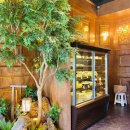 분당수내1-D-2 이미지