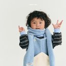 히얼퍼피 이미지