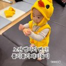 노란병아리 | 돌아기 문센후기 롤리폴리 재미놀이, 삐약삐약 병아리 귀여움 폭발 오감수업 후기