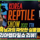 세븐렙타일