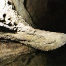 제주 김녕굴 및 만장굴 이미지