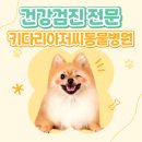 키다리아저씨 동물병원 이미지