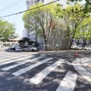 복수계룡 이미지