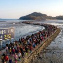 정발장군 동상 앞 교통섬 | 제46회 진도 신비의 바닷길 축제 기본정보 바닷길 열리는 시간 진도 맛집숙소 일정 프로그램 정보 공유