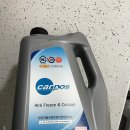 서진 카포스 이미지