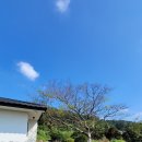 제주살가 이미지