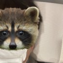 신항편안한한의원 이미지