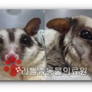 리틀쥬동물의료원 이미지