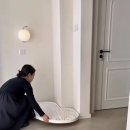 곰손한집