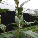 기주농장 이미지